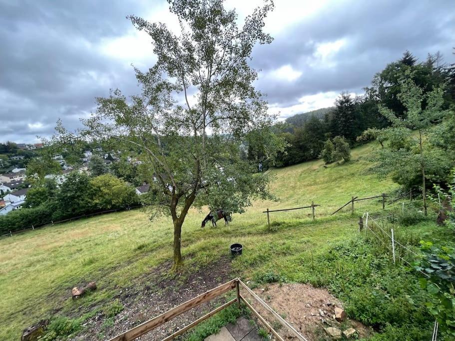 Altes Bauernhaus In Der Natur Detmold Esterno foto